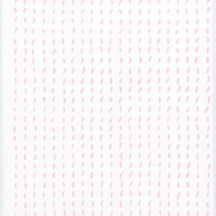 Spruce, screenprint on rag paper, 2013, 11"x15"